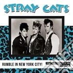 (LP Vinile) Stray Cats - Nyc Rumble! Live At Theritz October 18Th vinile