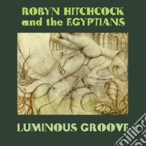 (lp Vinile) Luminous Groove lp vinile di Robyn & t Hitchcock