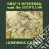 (lp Vinile) Luminous Groove cd