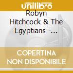 Robyn Hitchcock & The Egyptians - Luminous Groove (5 Cd) cd musicale di Robyn Hitchcock