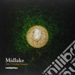 (LP Vinile) Midlake - Am I Going Insane vinile