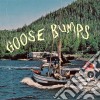 Boyscott - Goose Bumps cd