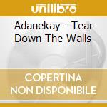 Adanekay - Tear Down The Walls cd musicale di Adanekay