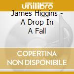 James Higgins - A Drop In A Fall cd