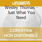 Wesley Thomas - Just What You Need cd