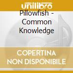 Pillowfish - Common Knowledge cd musicale di Pillowfish
