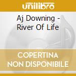 Aj Downing - River Of Life cd