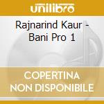 Rajnarind Kaur - Bani Pro 1