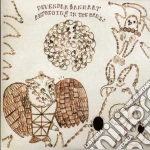 Devendra Banhart - Rejoiceng In The Hands cd