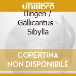 Bingen / Gallicantus - Sibylla cd musicale di Bingen / Gallicantus