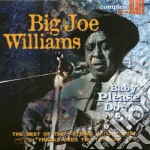 Big Joe Williams - Baby Please Don't Go