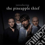 Pineapple Thief (The) - Introducing The Pineapple Thief (2 Cd) cd