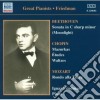 Ignaz Friedman - Chopin, Beethoven, Mozart cd
