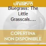 Bluegrass: The Little Grasscals. Nashville Superpickers / Various cd musicale di Usa Folk