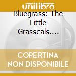 Bluegrass: The Little Grasscals. Nashville Superpickers / Various cd