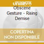 Obscene Gesture - Rising Demise cd