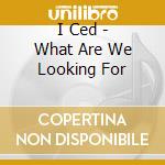 I Ced - What Are We Looking For cd