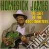 Homesick James - The Last Of Broomdusters cd