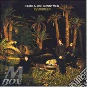 Evergreen cd musicale di ECHO & THE BUNNYMAN