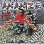 Ananize - What Would You Do? cd