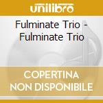Fulminate Trio - Fulminate Trio cd