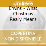Erwins - What Christmas Really Means cd