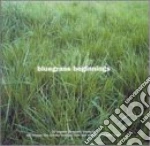 Bluegrass Beginnings / Various cd