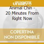 Animal Chin - 20 Minutes From Right Now cd musicale di Animal Chin