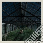 (LP Vinile) Foxing - Dealer vinile