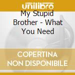 My Stupid Brother - What You Need cd