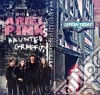 Ariel Pink's Haunted Graffiti - Before Today cd