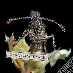 (LP VINILE) Eye contact lp vinile di GANG GANG DANCE