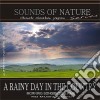 Sounds Of Nature - A Rainy Day In The Country  cd