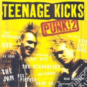 Teenage Kicks Punk! 2 / Various cd musicale di ARTISTI VARI