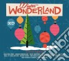 Winter Wonderland / Various (3 Cd) cd