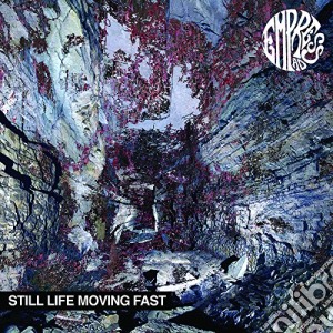 Empress Ad - Still Life Moving Fast cd musicale di Empress Ad