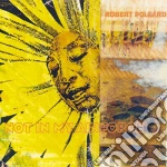 (LP Vinile) Robert Pollard - Not In My Airforce vinile
