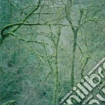 (LP Vinile) Six Organs Of Admittance - Dust And Chimes vinile