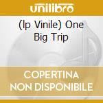 (lp Vinile) One Big Trip cd