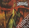 Year Of Desolation - Year Of Desolation cd