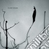 Eraldo Bernocchi & Chihei Hatakevama - Solitary Universe (Cd+Photobook) cd