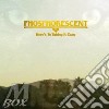 Phosphorescent - Here's To Taking It Easy cd