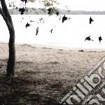 Tallest Man On Earth - There's No Leaving Now cd