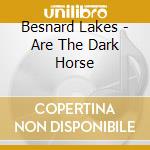 Besnard Lakes - Are The Dark Horse cd
