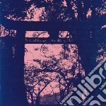 (LP Vinile) Richard Youngs - Amplifying Host vinile