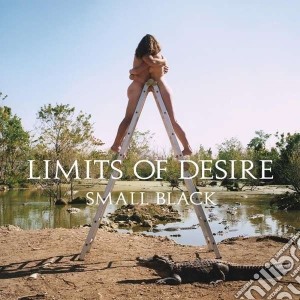 Small Black - Limits Of Desire cd musicale di Black Small