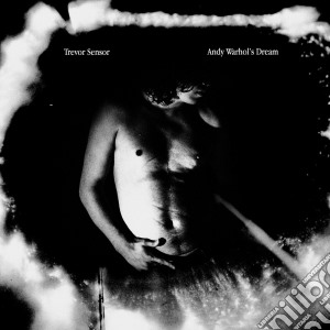 (LP Vinile) Trevor Sensor - Andy Warhol S Dream (Color Vinyl) lp vinile di Trevor Sensor