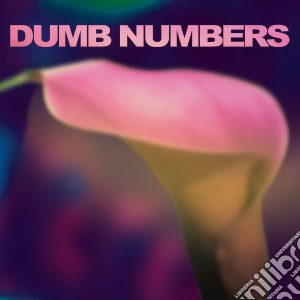 Dumb Numbers - Dumb Numbers cd musicale di Numbers Dumb