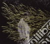 (LP Vinile) Forest Swords - Engravings (2 Lp) cd
