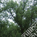 Julianna Barwick - Magic Place cd